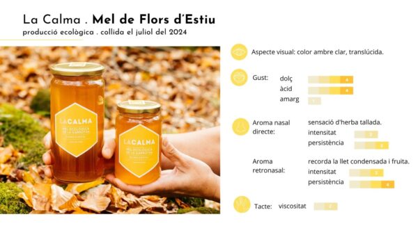 Mel Flors d´Estiu - pot 1/2 kg